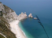 /album/il-mare/a2sor-jpg/