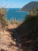 /album/il-mare/a5-19-jpg/