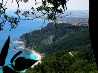 /album/il-mare/a23578933-jpg/