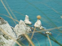 /album/il-mare/dscf1177-jpg/