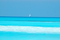 /album/il-mare/la-vela-solitaria-a-rosigna-jpg/